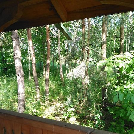 Noclegi Przy Kominku Miedzyles  Quarto foto