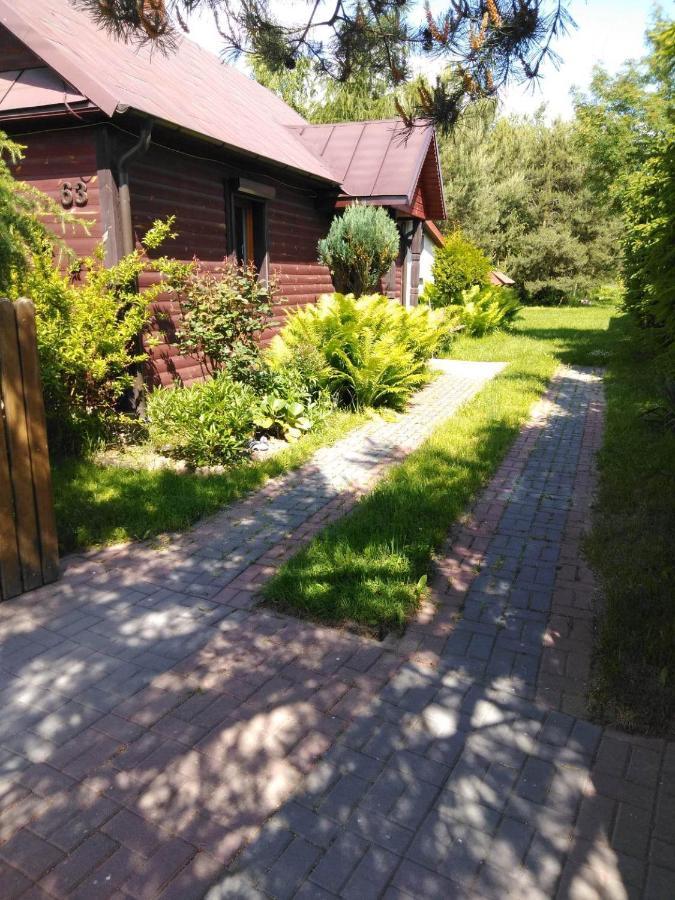 Noclegi Przy Kominku Miedzyles  Exterior foto